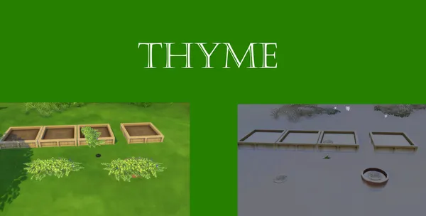 Thyme Harvestable